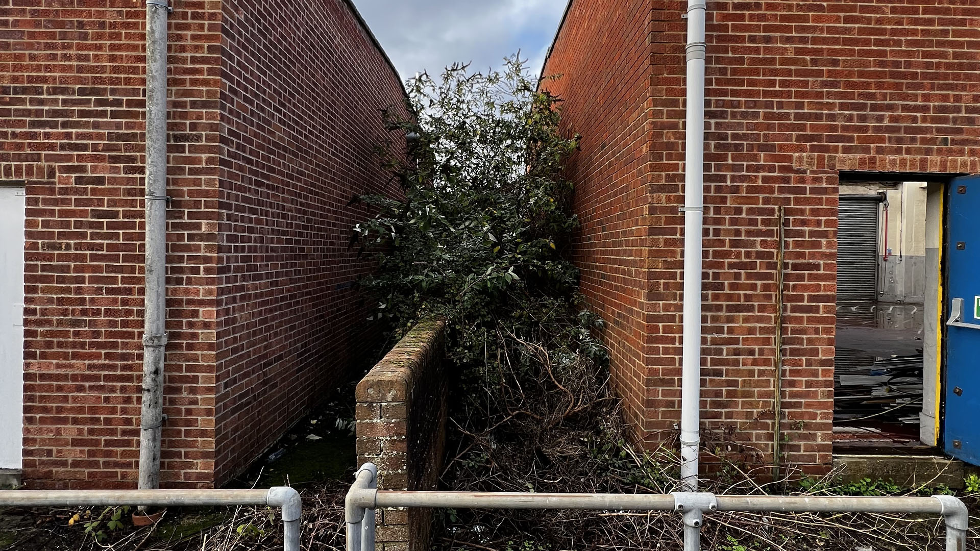 Who Should You Contact First — The Council, a Surveyor, or Your Neighbour Sidcup?